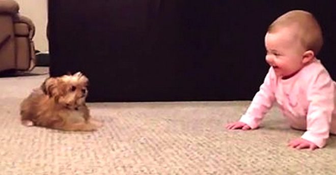 Baby and Tiny Puppy Have The Most Adorable Conversation