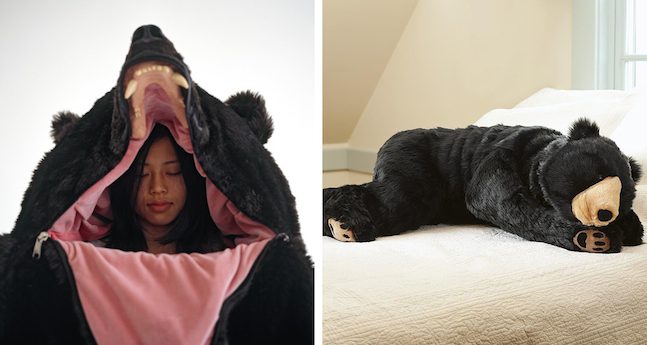 bear sleeping bag