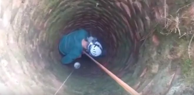 Blind Dog Stuck In Well For Over A Month Is Rescued