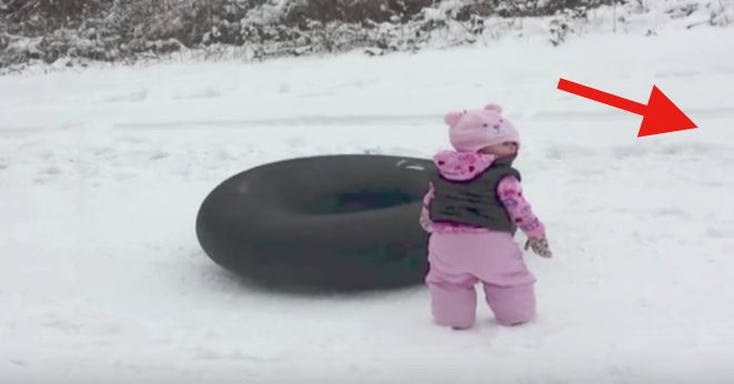 dog slides in snow