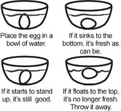 egg-fresh