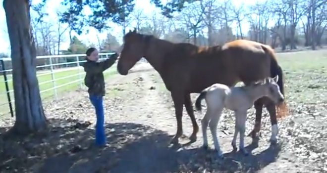 filly sneezes