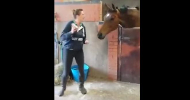 Horse And His Owner Have A Blast Grooving To “All About The Bass”