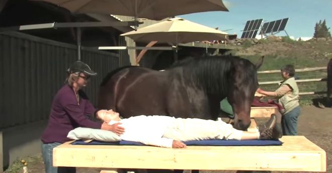 horses help healing