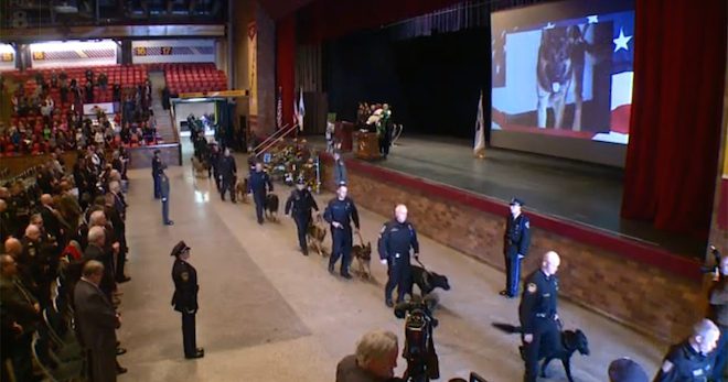 Hundreds of Police Officers Attend Memorial Service For Fallen Police Dog Jethro