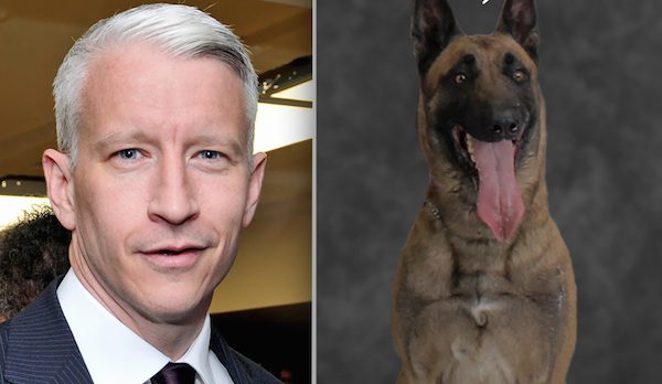 Anderson Cooper Donates Lifesaving Vests For Norfolk Police Dogs After K9 Shot And Killed