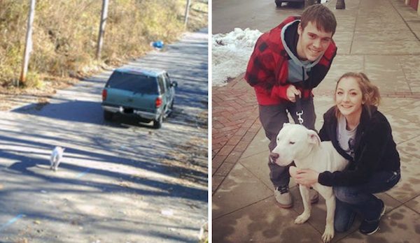 Pit Bull Caught On Camera Being Dumped Gets Adopted 30 Minutes After Arriving At Shelter