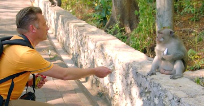 Monkeys Have A Very Clever Trick For Getting Food From Tourists