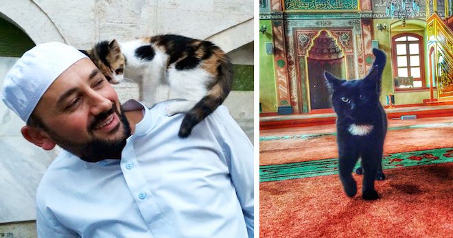 Stray Cats Find Refuge From The Cold In Mosque
