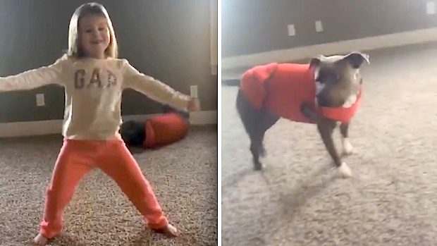 Rescued Pit Bull Adorably Tries To Copy Little Girl’s Cartwheel