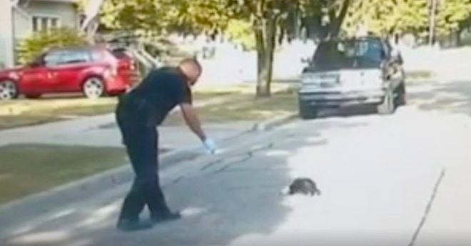 Kindhearted Police Officer Saves Baby Skunk In Trouble