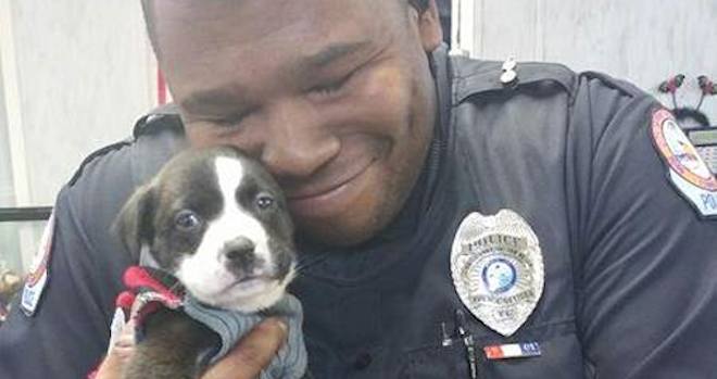 Officer On A Call Instantly Smitten With Abandoned Puppy