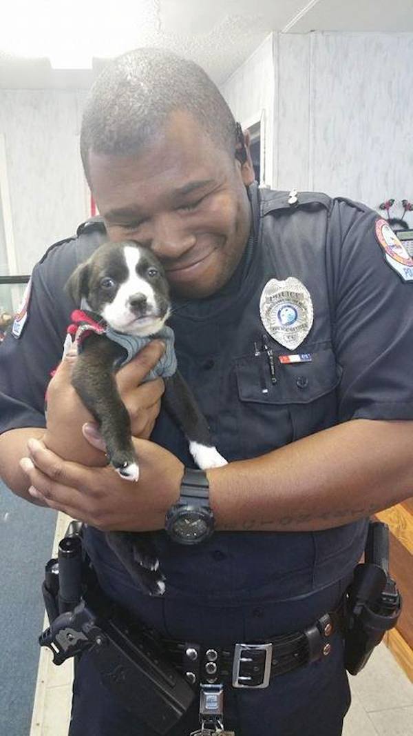 paws-officer