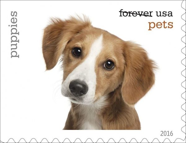 pets-stamps-1