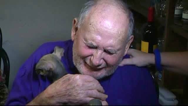 Elderly Couple Overcome With Emotion When They Receive New Puppy After Tragedy