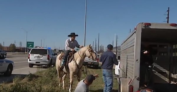 texas-boys