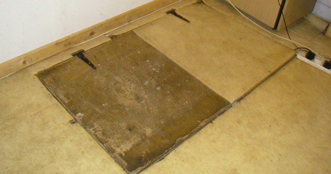 Veterinarian And Assistant Who Kept Huskies In Secret ‘Dungeon’ Convicted Of Animal Cruelty