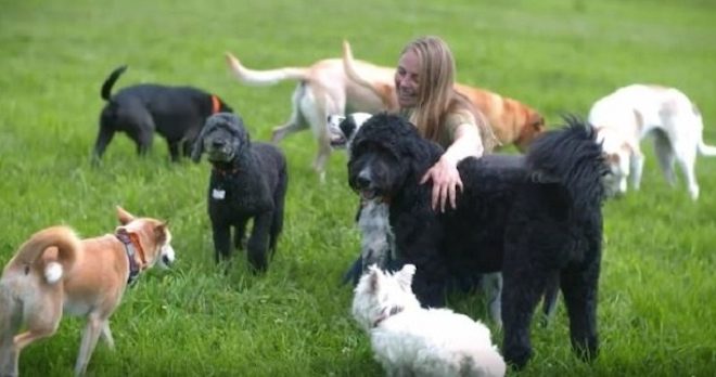 Woman Quits Job On Wall Street To Rescue Dogs