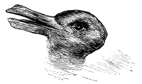800px-Kaninchen_und_Ente