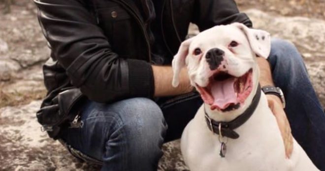 Dog’s Poignant ‘Goodbye’ Letter To His Human Helps Man Grieve
