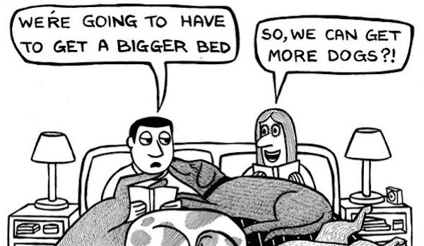 Dog Lovers Will Completely Identify With These Funny Cartoons Of Life With A Dog