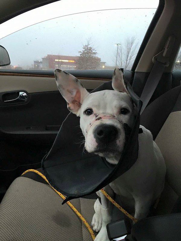 chance-update-1