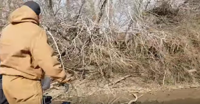 Fisherman Whistles When He Hears Desperate Cries And Finds A Puppy