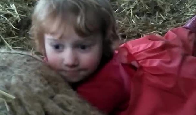 3-Year-Old Farm Girl Helps Deliver A Lamb All On Her Own