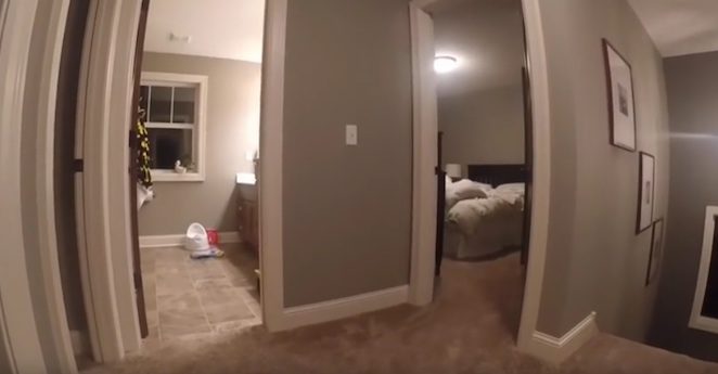 hide and seek
