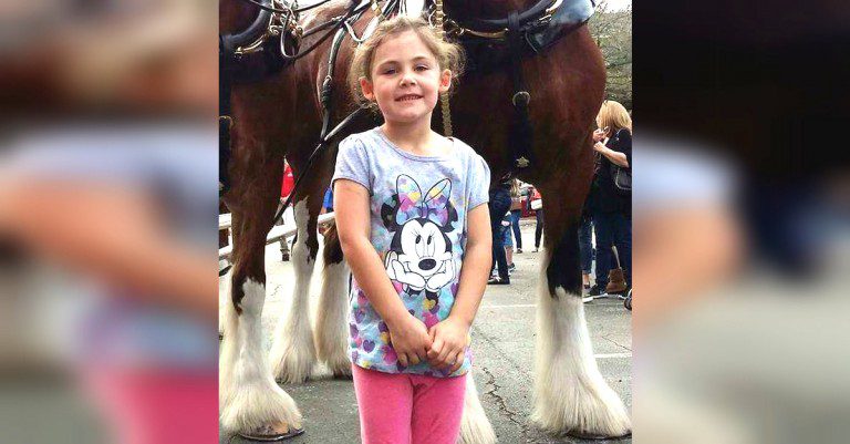 Little Girl Poses For Photo With Clydesdale Not Realizing What The Horse Is Up To