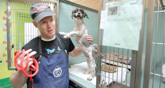 mark the dog guy