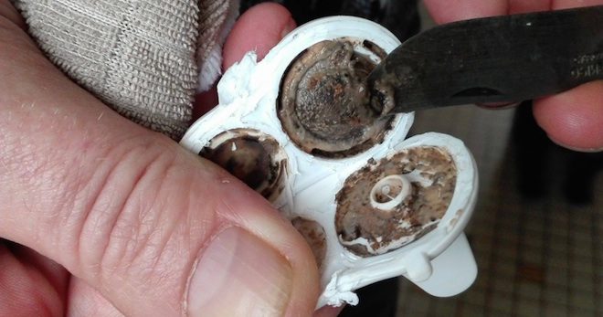 Parents Shocked To Find Their Children’s Sippy Cups Full Of Mold