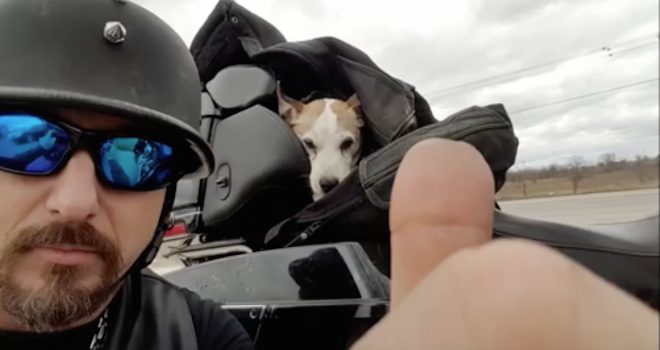 motorcyclist saves dog