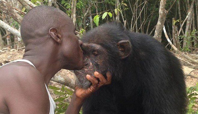 Lone Chimp Abandoned On Island Greets Rescuers With Warm Hugs