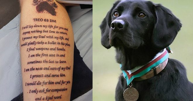 Military Dog’s Handler Pays Tribute To His Dog’s Passing In Unforgettable Way