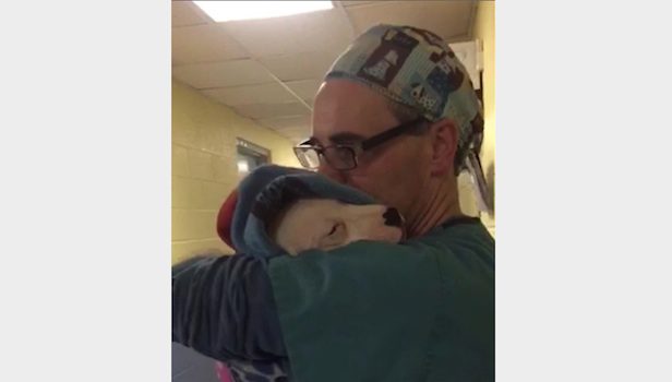 Vet Tenderly Comforts Scared Puppy After Her Surgery