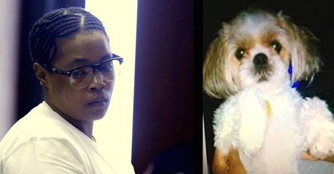 Woman Sentenced To 4 Years In Jail For Throwing Neighbor’s Dog Into Traffic