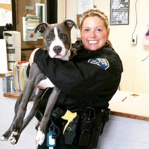 baltimore-police-dog-rescue-1