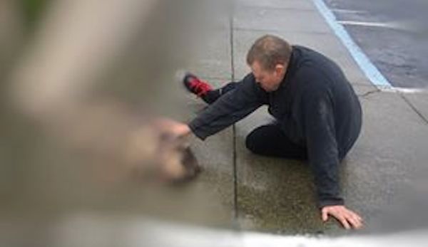 Good Samaritan Helps Comfort Dog Injured In Hit-And-Run