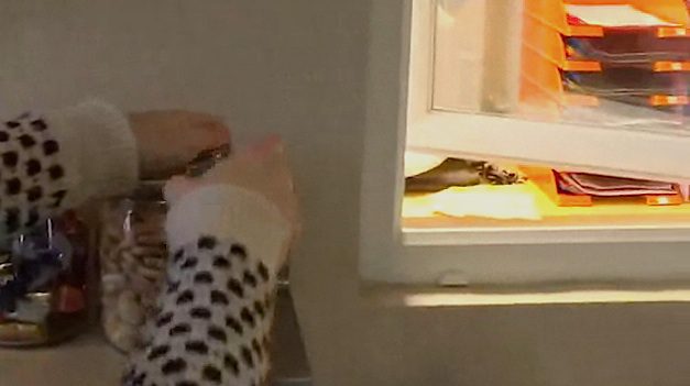 Every Time Mom Opens The Cookie Jar Her Dog Miraculously Appears