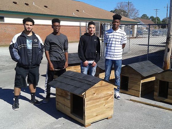 dog-houses-3