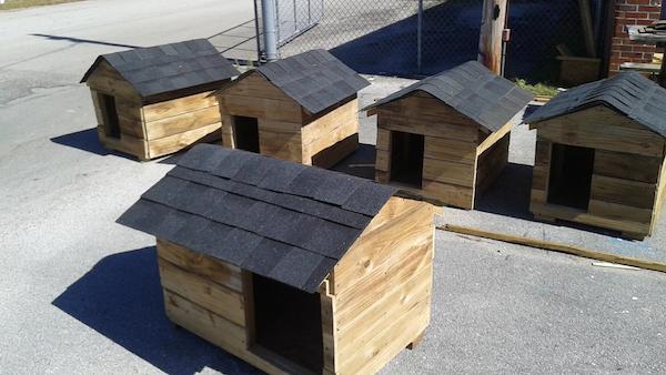dog-houses-4