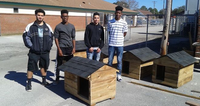 High School Students Make Houses For Needy Dogs And Feral Cats