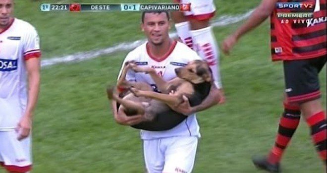 Announcer Has Special Message For Crowd After Dog Interrupts Soccer Game