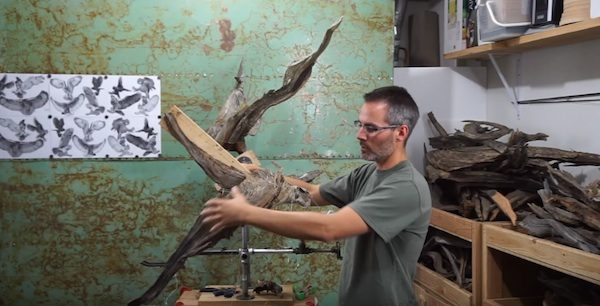 eagle1