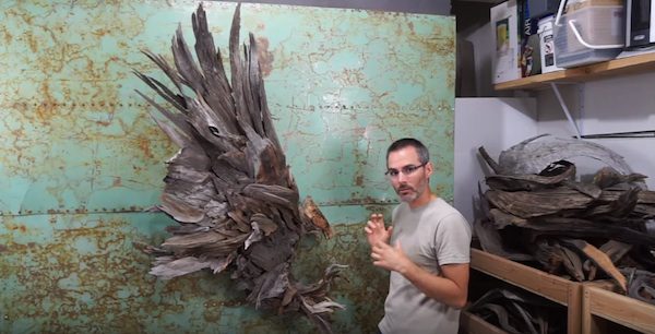 eagle2