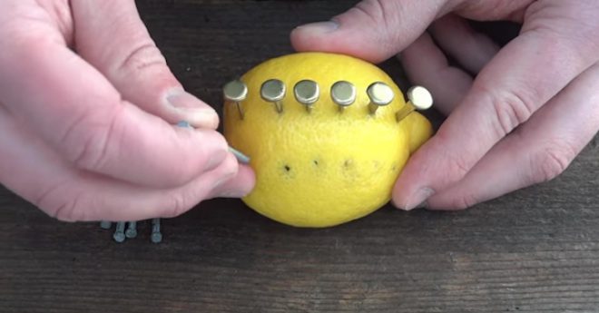 fire lemon