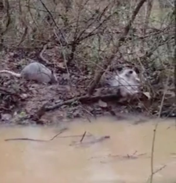 flood-man-2