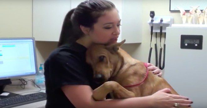 Dog Just 5 Minutes Away From Euthanasia Saved And Now Gives The Best Hugs