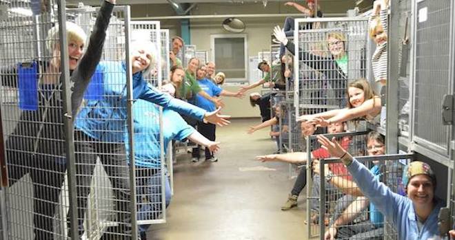 The Happiest Shelter Photo Is An Empty Shelter Photo